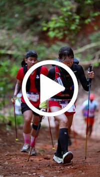 BIB:  <button type="button" onclick="openModal(27519801)" class="btn btn-primary btn-sm float-right" data-toggle="modal" data-target=".modal-high-quality">
                <i class="fa fa-download"></i> Download
                </button>